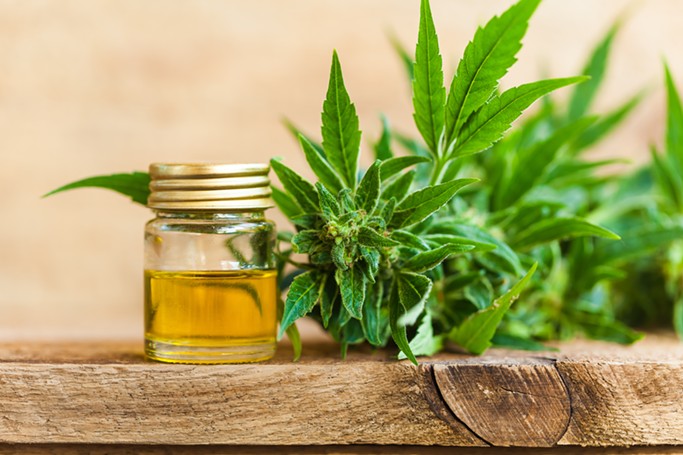 7 Avantages et utilisations de l’huile de cannabis